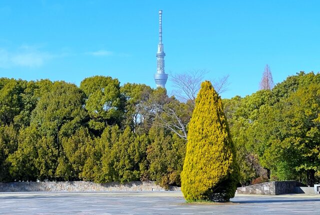 木場公園・木場公園大橋周辺