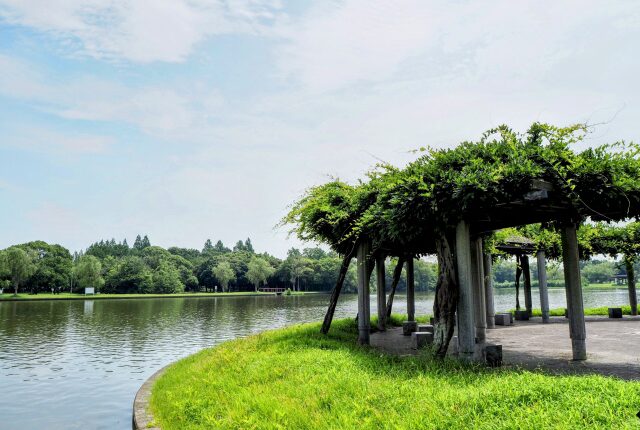 水元公園の開けた場所