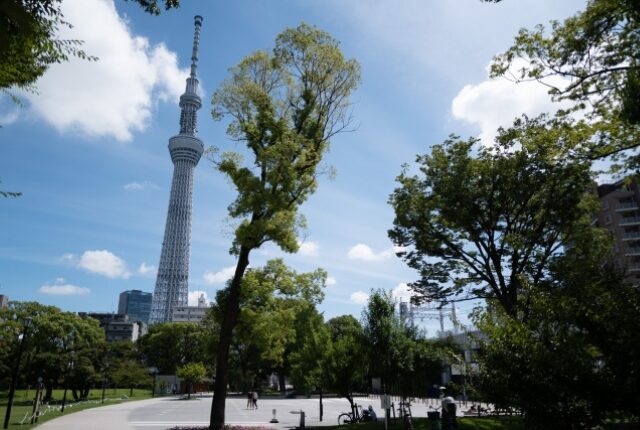 隅田公園そよ風ひろば