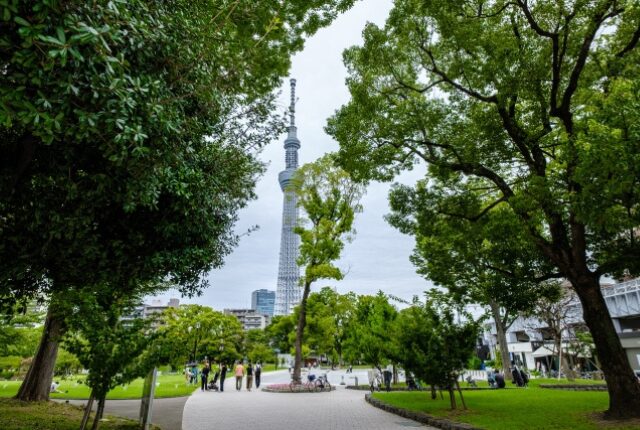隅田公園 台東区側