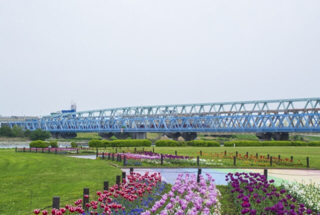 荒川河川敷・虹の広場
