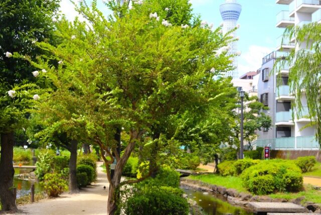 大横川親水公園・業平橋〜押上寄り