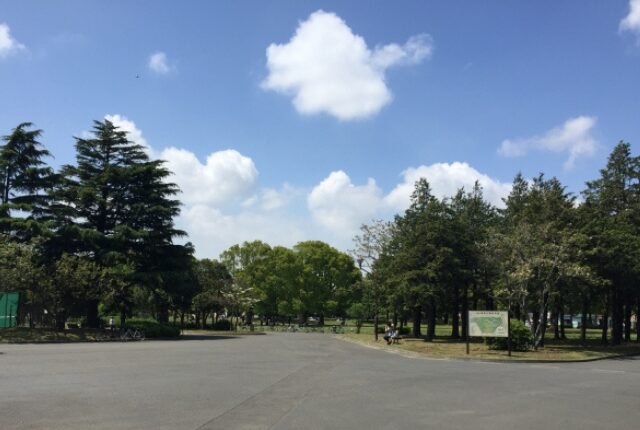 篠崎公園