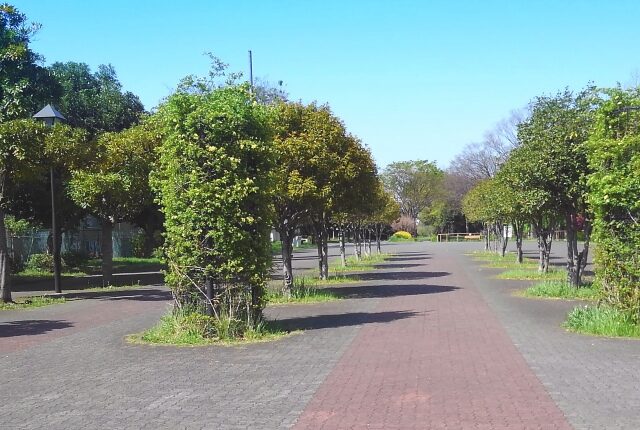 東白鬚公園