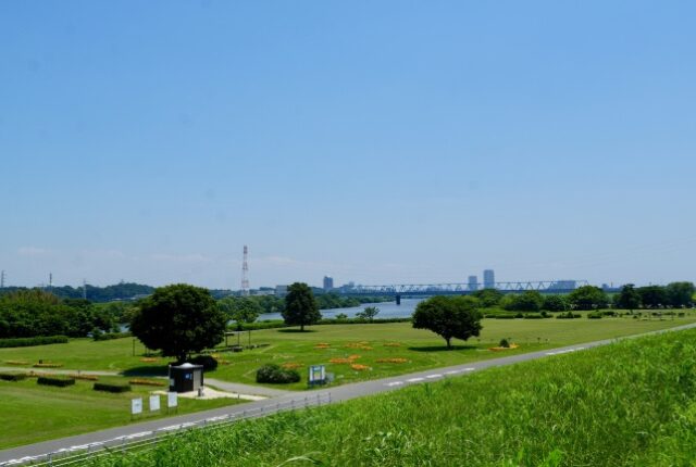 柴又公園先の会場寄り自由観覧エリア