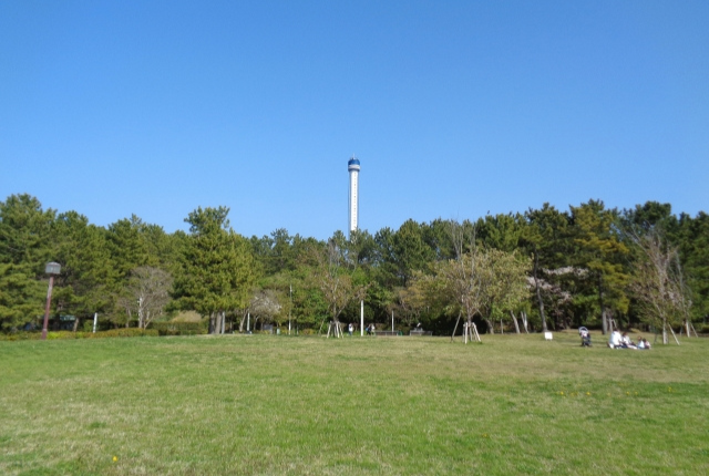 八景島 グリーン広場