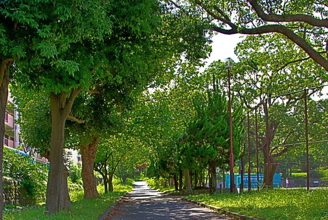 八景公園