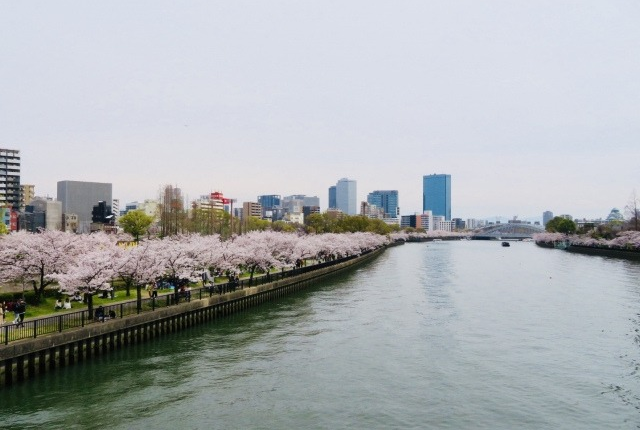 毛馬桜之宮公園