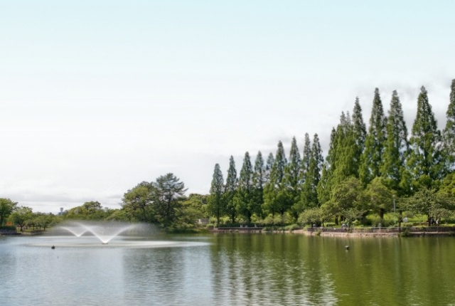 城北公園